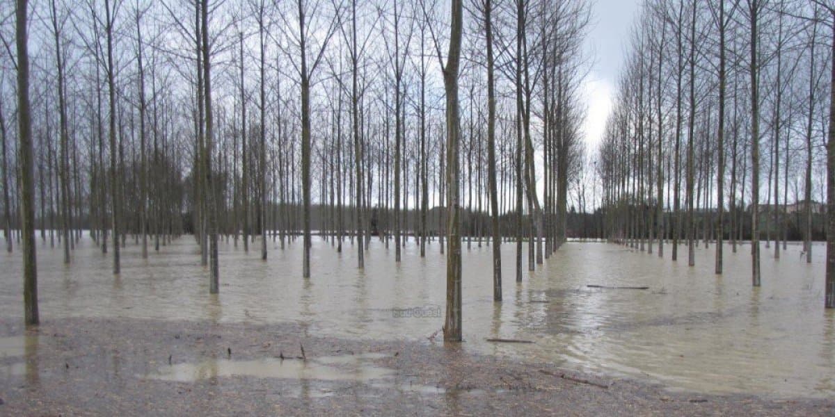 Image d'illustration pour Inondations majeures dans le Sud-Ouest du 24 janvier au 6 février