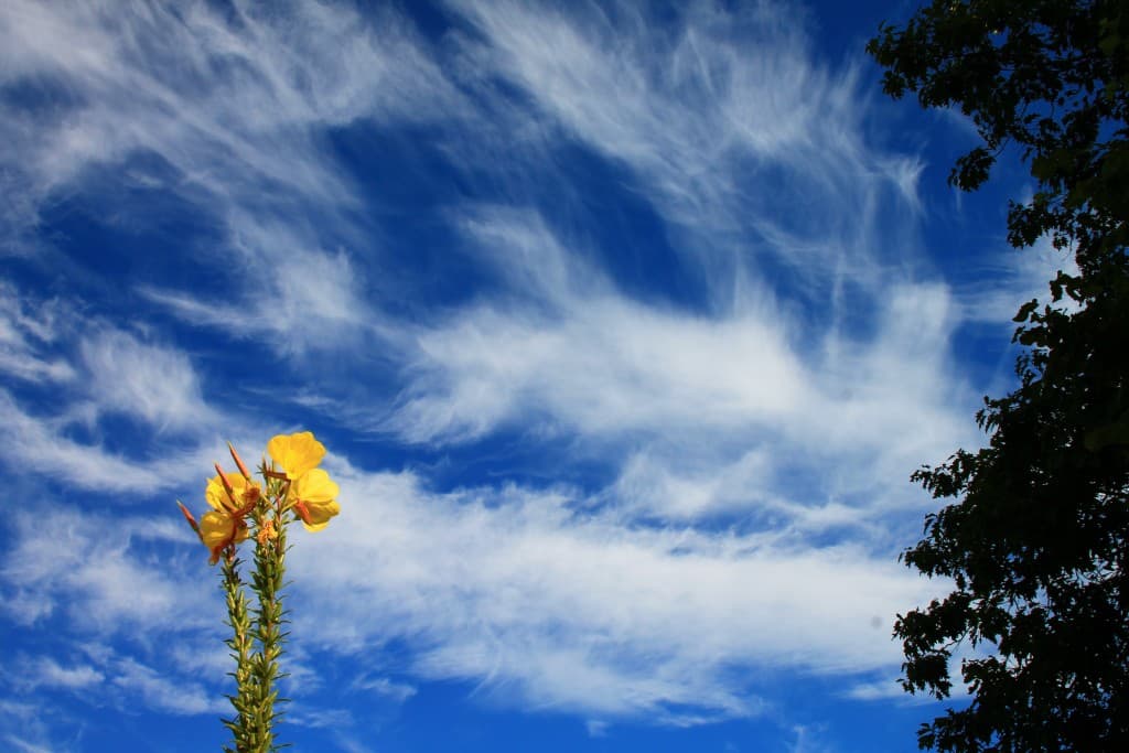 Image d'illustration pour Vos photos météo de la semaine