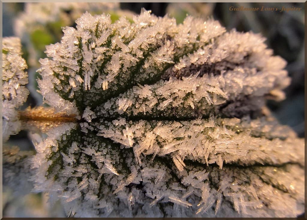 Image d'illustration pour Vos photos météo de la semaine