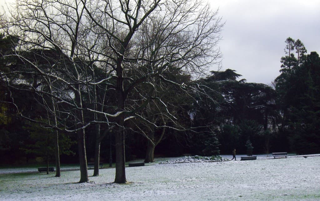 Image d'illustration pour BILAN DÉCEMBRE : Froid puis très doux, beaucoup de pluies