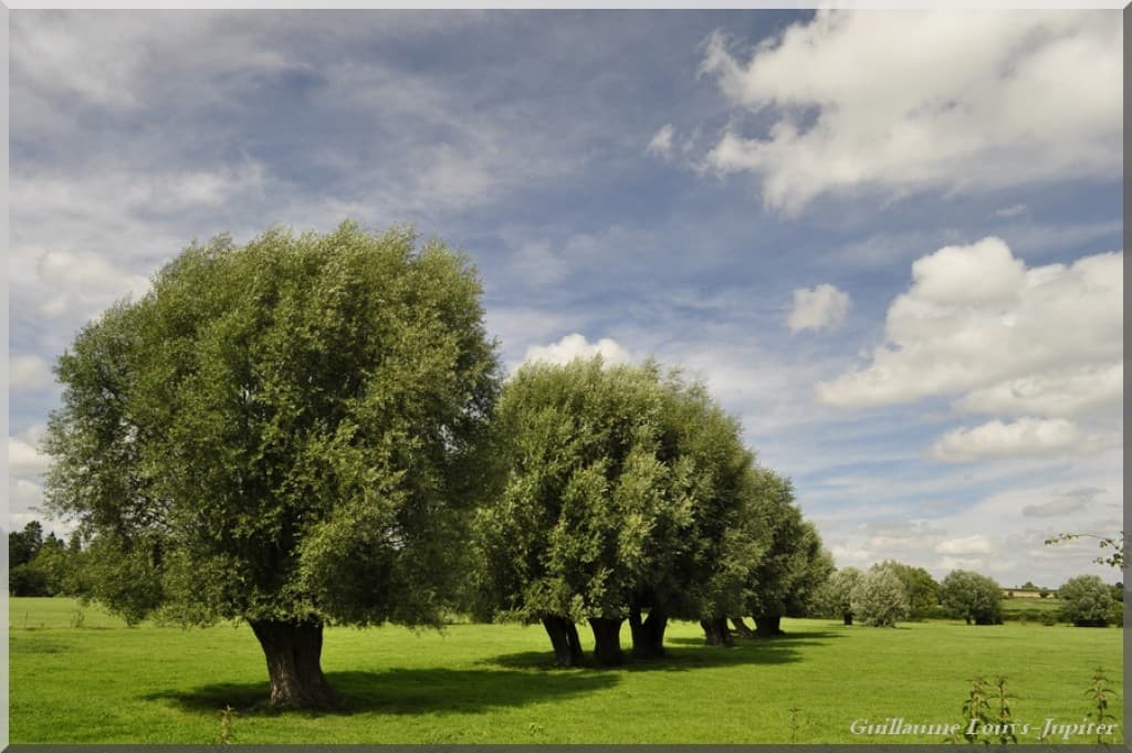Image d'illustration pour Vos photos météo de la semaine