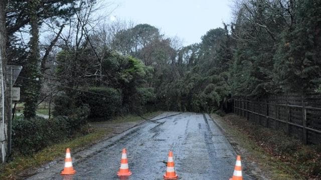 Image d'illustration pour Bilan du passage de Dirk sur le Nord-Ouest de la France