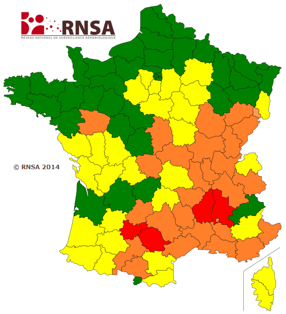 Image d'illustration pour Allergies : arrivée massive des pollens de graminées