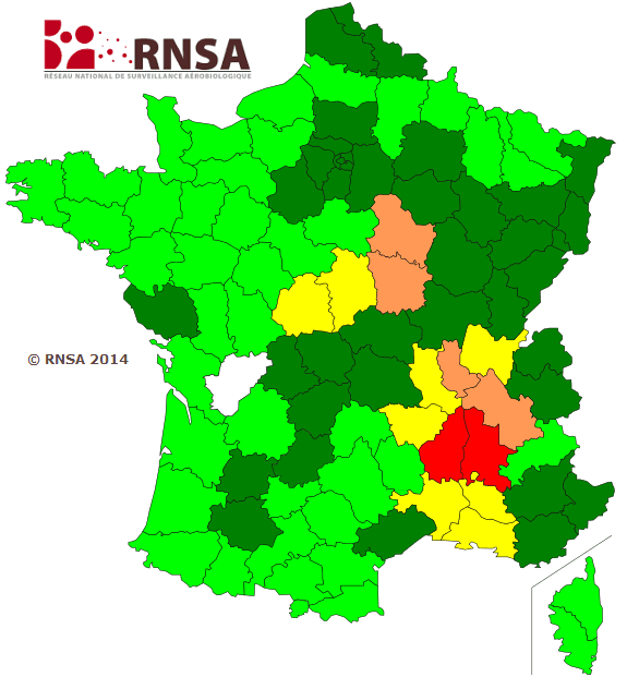 Image d'illustration pour La saison des pollens d'ambroisie se poursuit