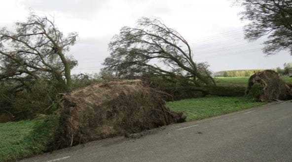 Image d'illustration pour Tempête Christian sur le Benelux (Belgique & Pays-Bas)