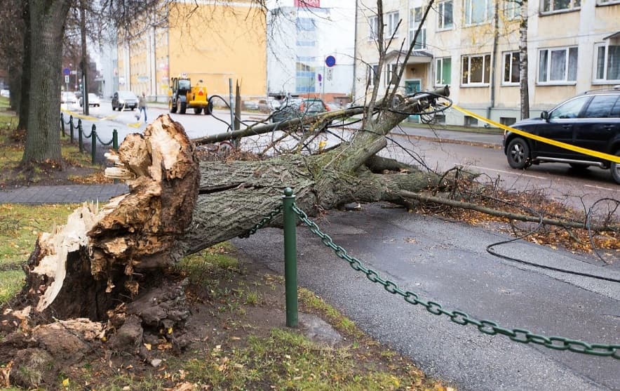 Image d'illustration pour Tempête Christian sur la Suède et la Baltique