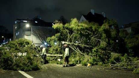 Image d'illustration pour Bilan de la tempête Xaver sur le Nord de l'Europe