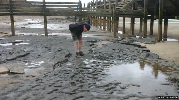 Image d'illustration pour Des trésors historiques découverts suite aux tempêtes