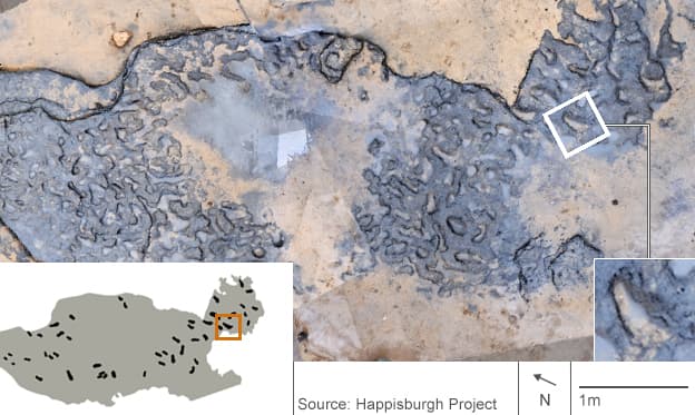 Image d'illustration pour Des trésors historiques découverts suite aux tempêtes