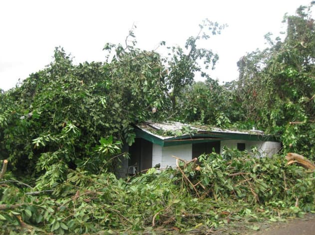 Image d'illustration pour Typhon Haiyan / Yolanda (Philippines) : un cyclone exceptionnel 