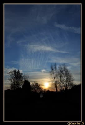 Cirrus Fibratus.