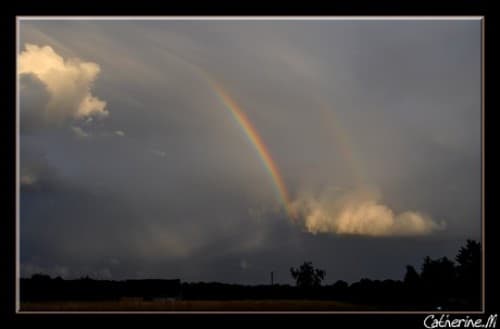 Double arcs 