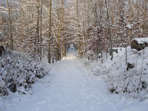 Par -6°C 