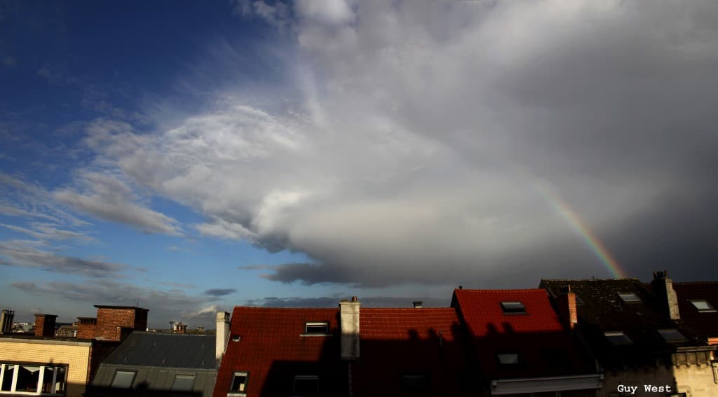 Après la pluie.3
