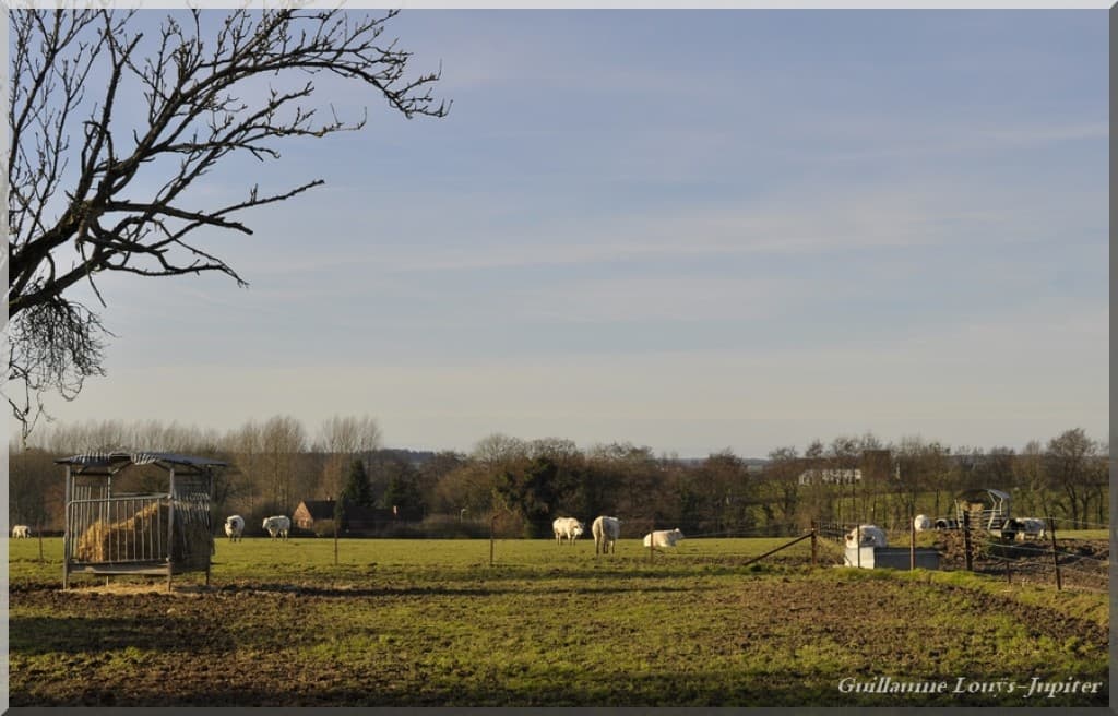 Bel après-midi