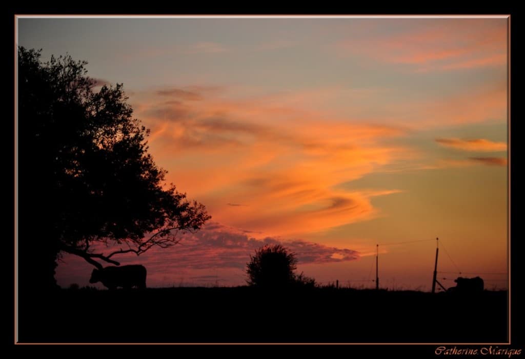 Crépuscule