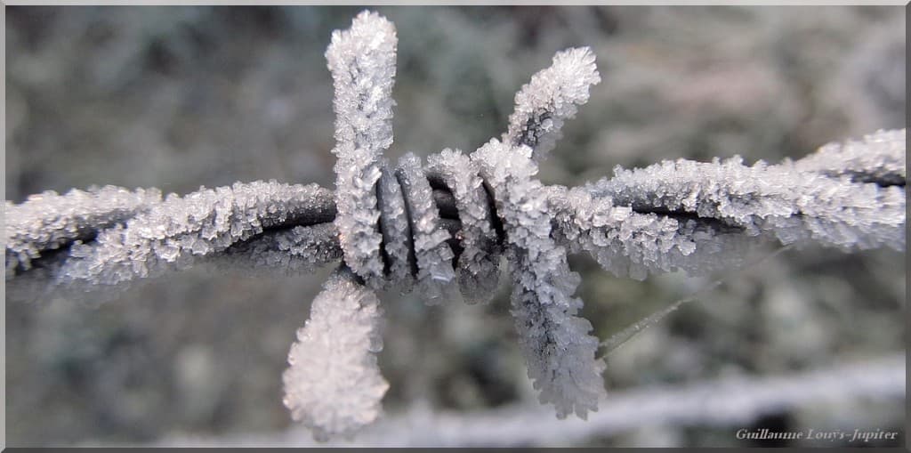 Le givre donne du fil à retordre