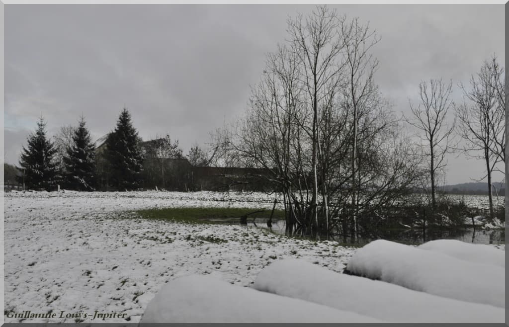 Neige conséquente
