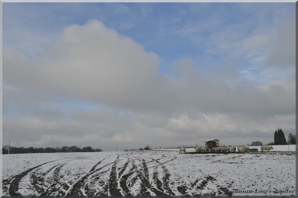 Neigeuse éclaircie