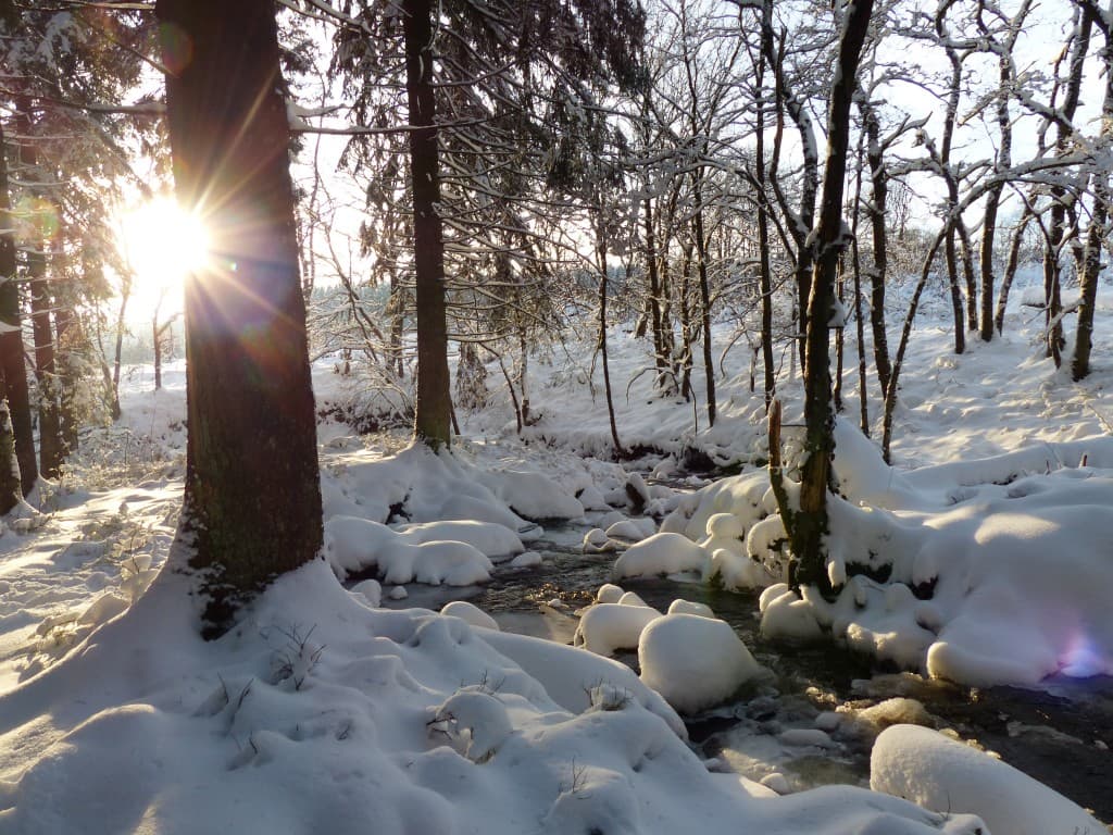 Un dimanche à Ovifat