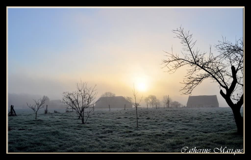 Gelée et brume