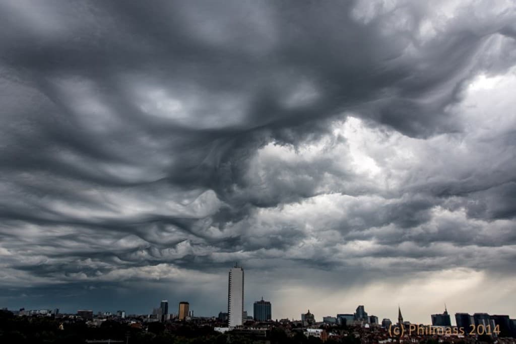 les fameux asperatus undalatus