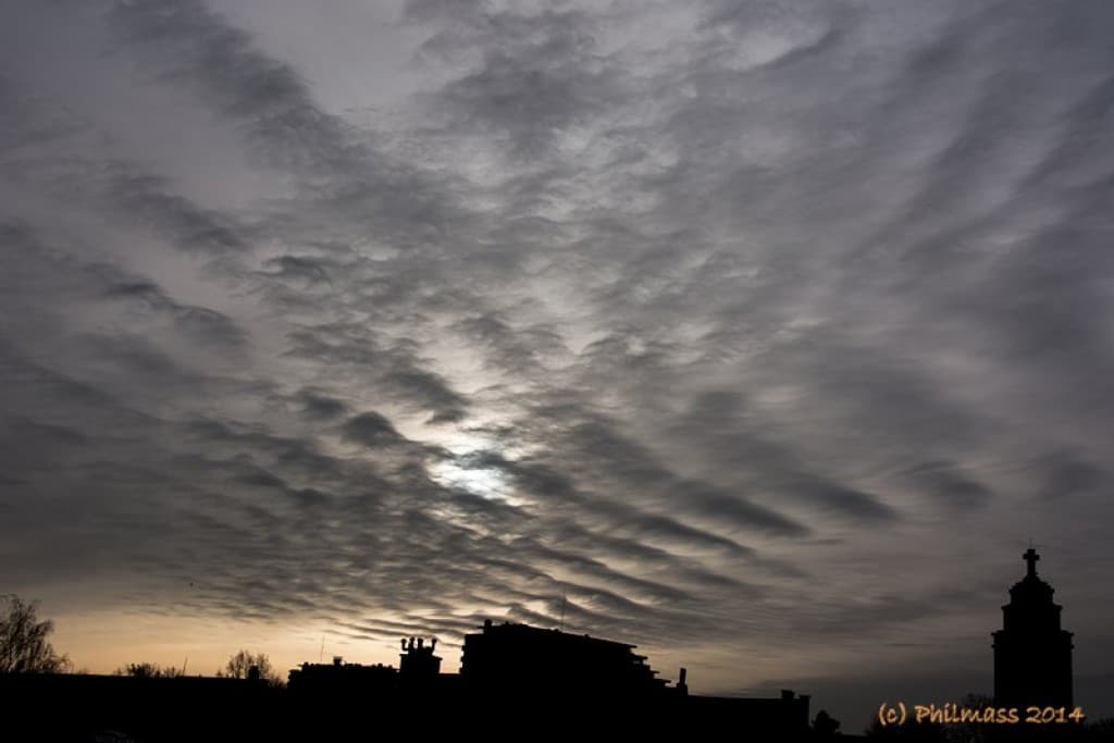 Les ondes grises