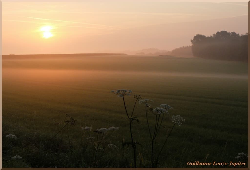 Nappes de brume au lever