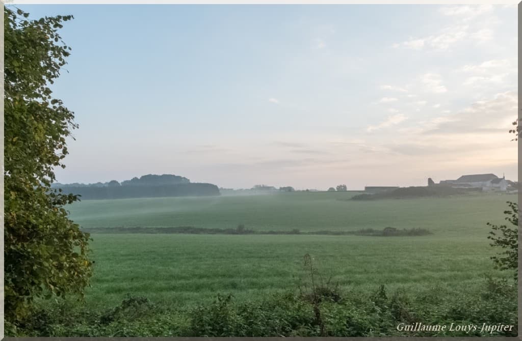 Réveil brumeux