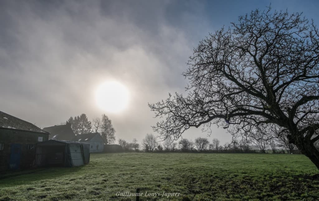 Dissipation du brouillard ?