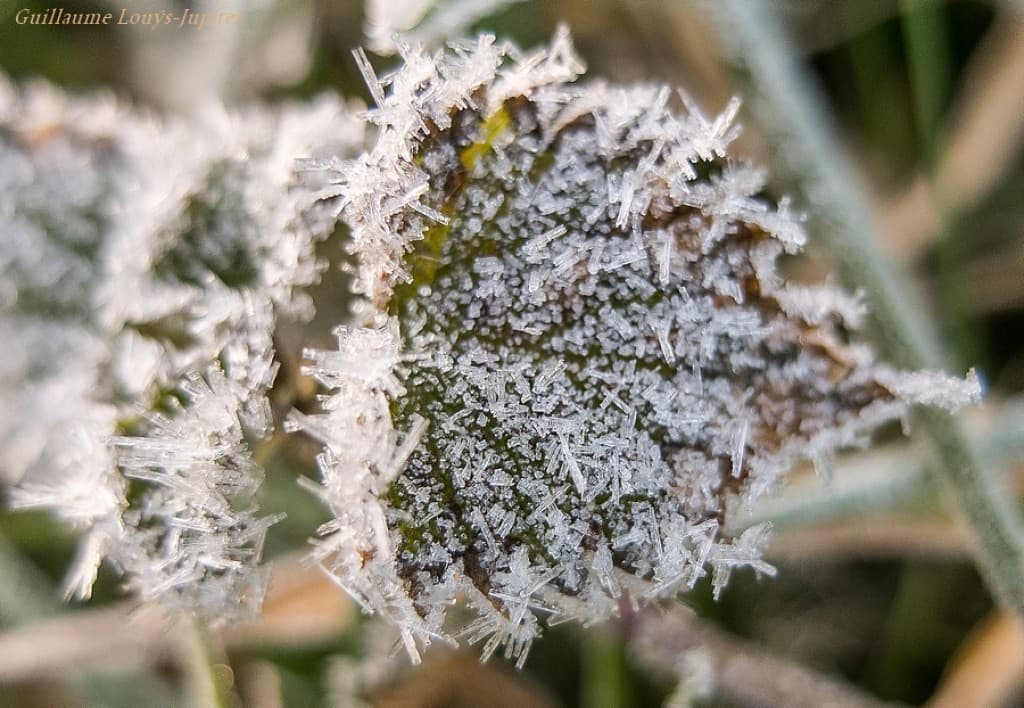 Le printemps, normalement