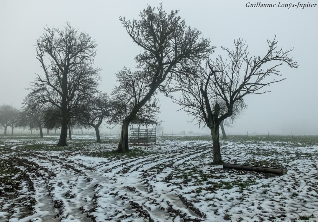 Neigeux B&W