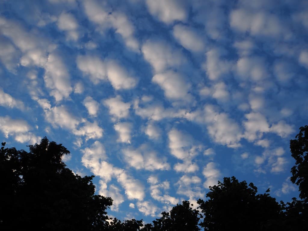 Nuages floconneux