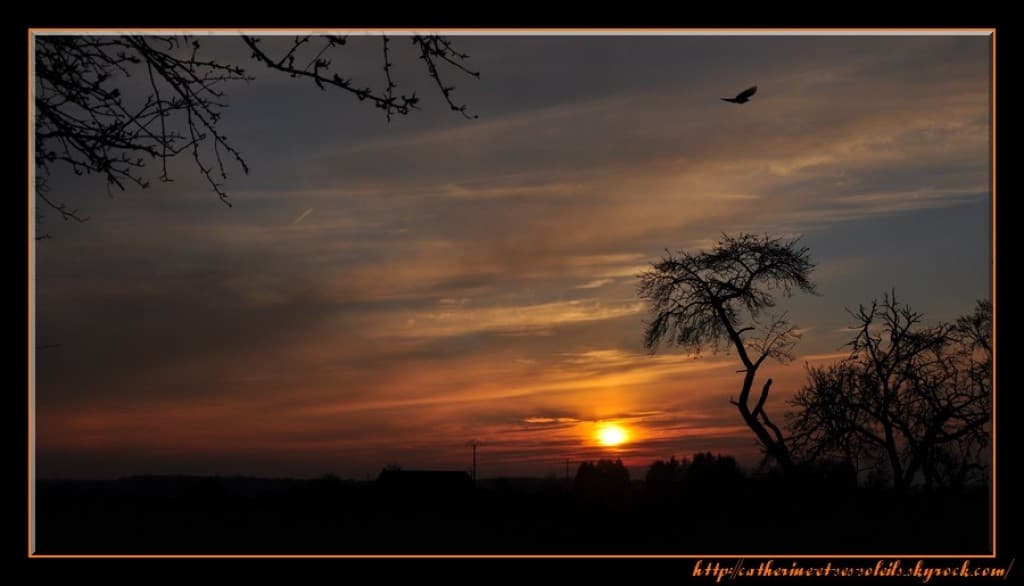 Penture du soir.