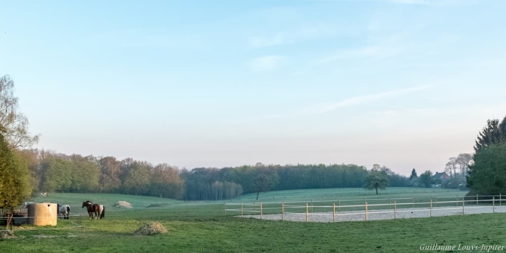 Sereine fraîcheur