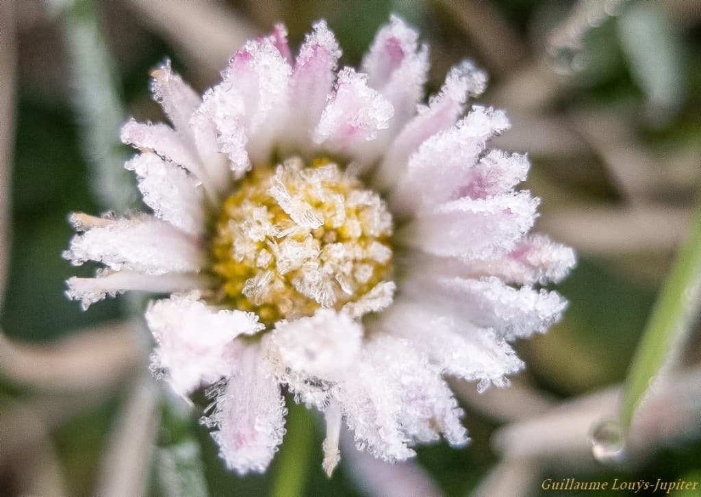 V'là l'printemps !