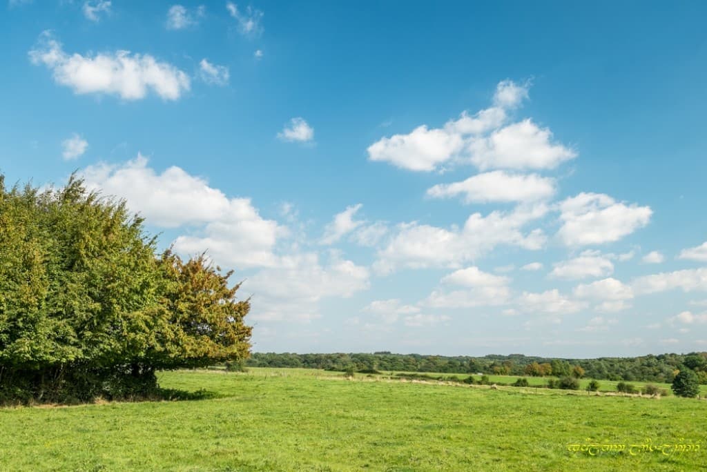 Automne et cumulus