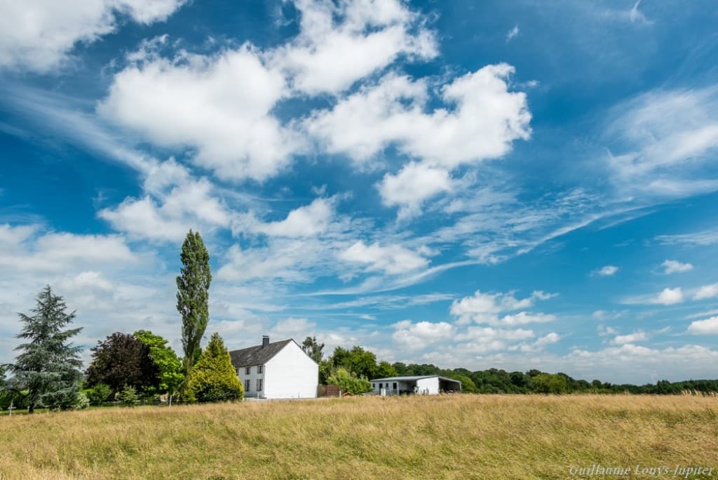 Campagne estivale