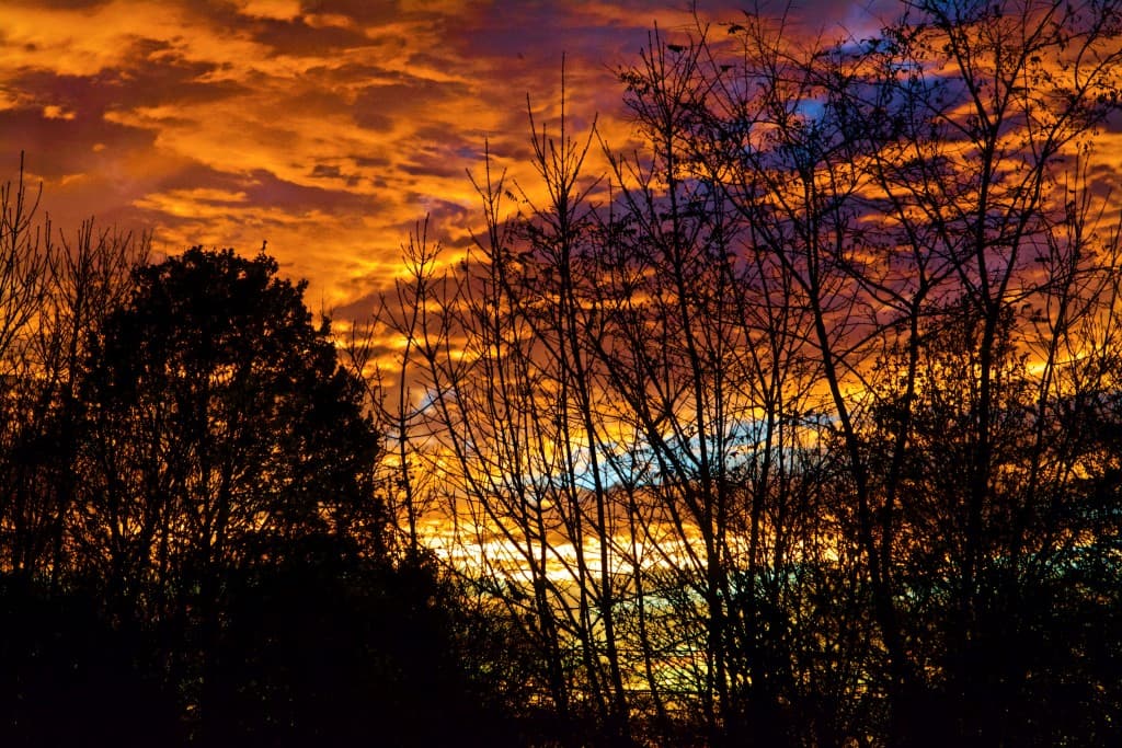cocher de soleil  