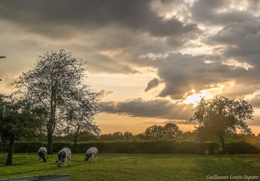 Coucher ?