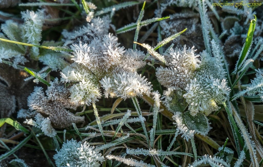 Givre de midi
