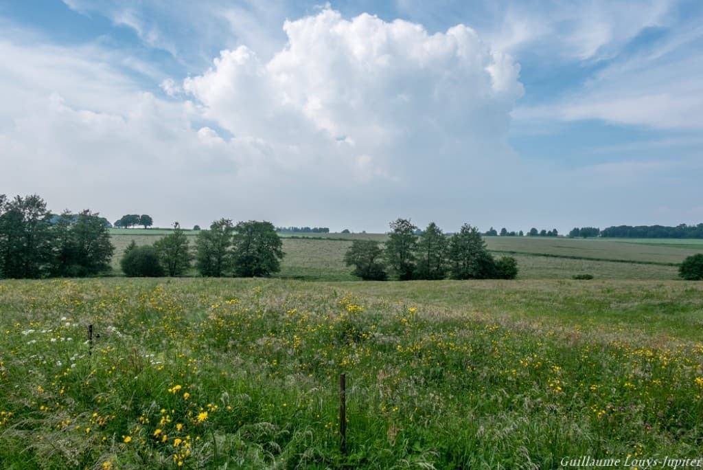 Gros cumulus à l'horizon