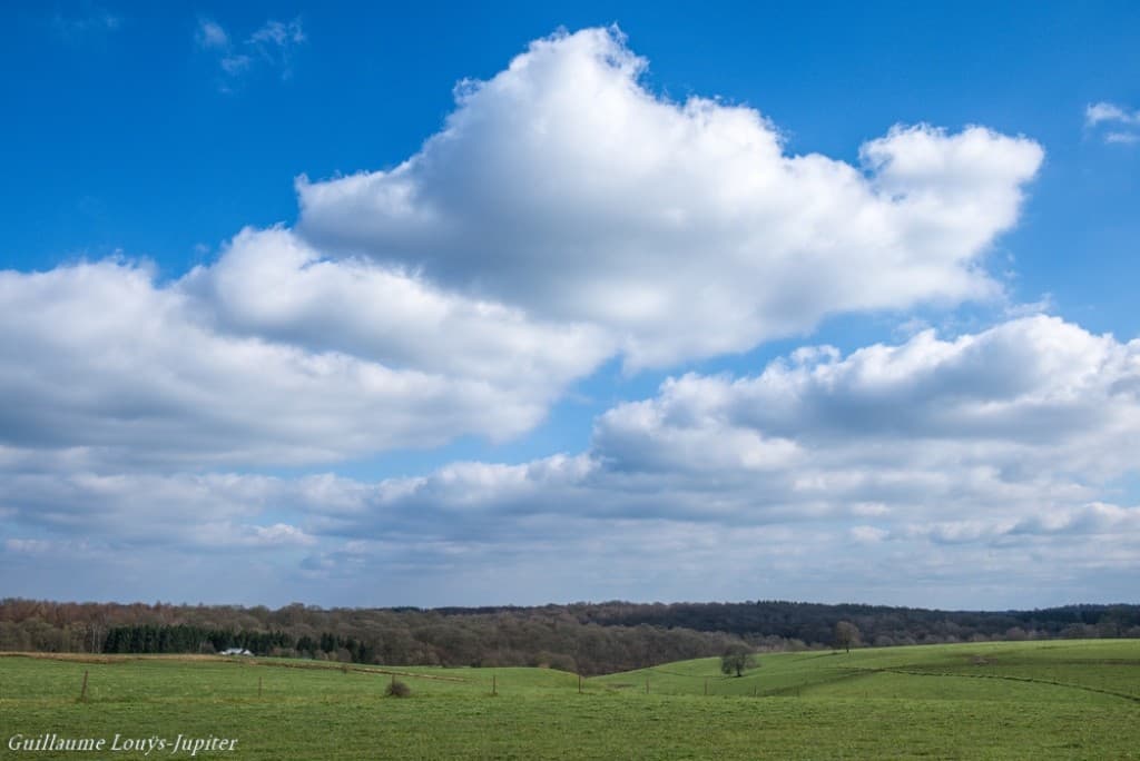 Jolis cumulus