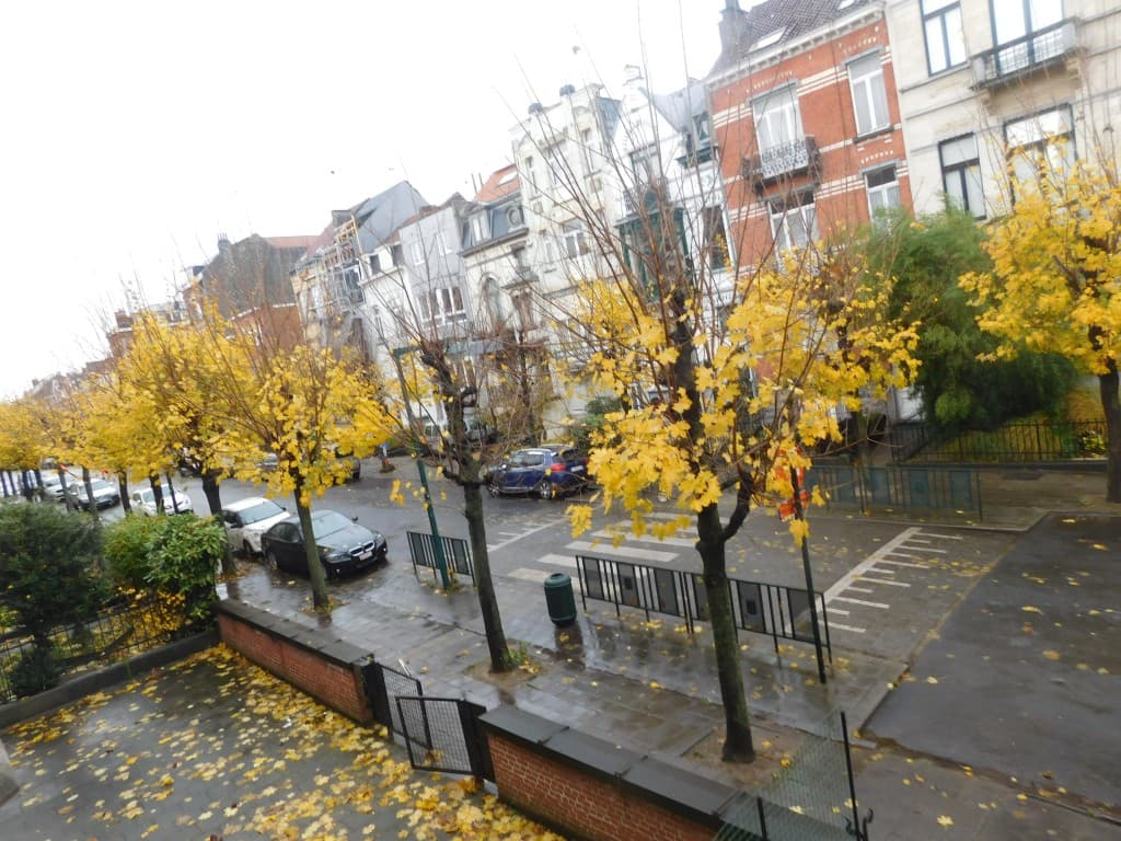 l automne 