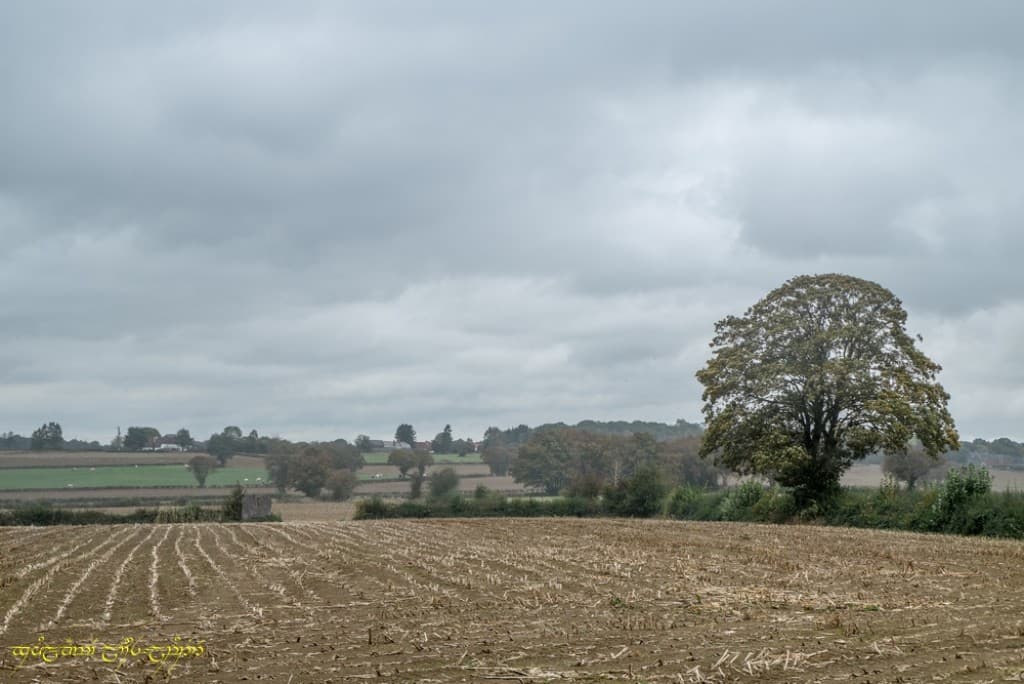 La pluie est là...