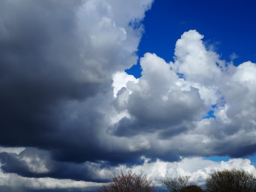 Le combat du printemps