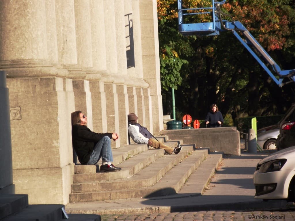 Le soleil timide