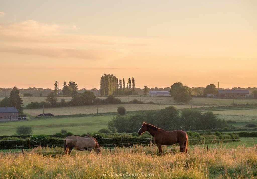 Ruralité joyeuse et colorée