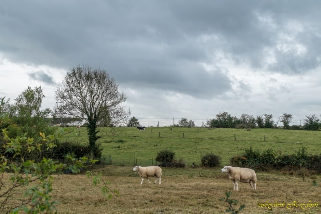 Toujours gris