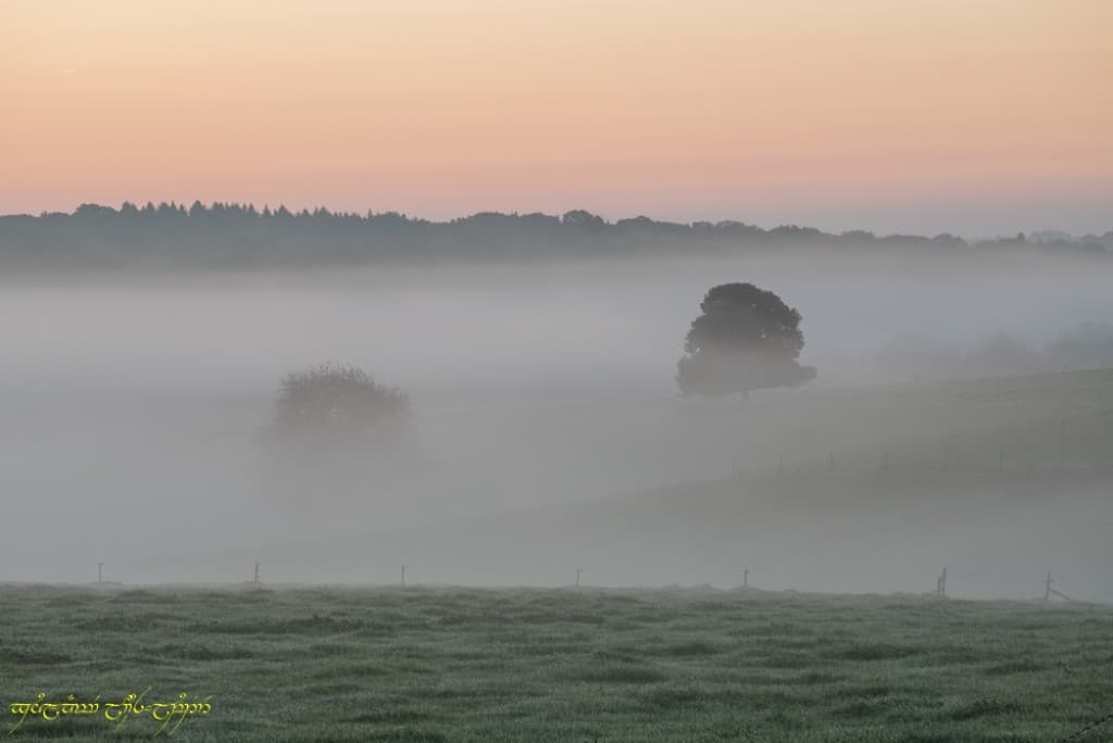 Brume du petit jour
